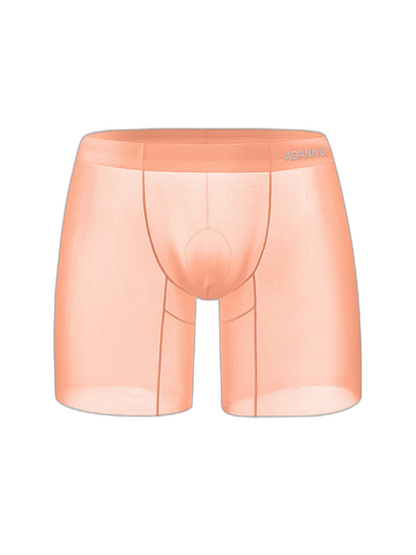 Men's Ultra-Thin Quick-Dry Sheer Boxer Briefs