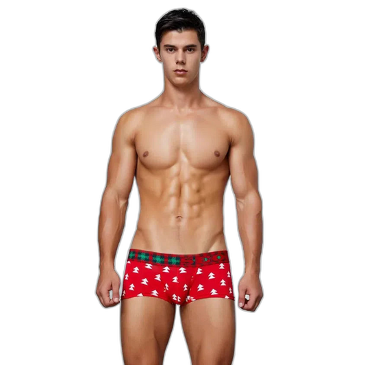 Festive Christmas Tartan Boxer Briefs