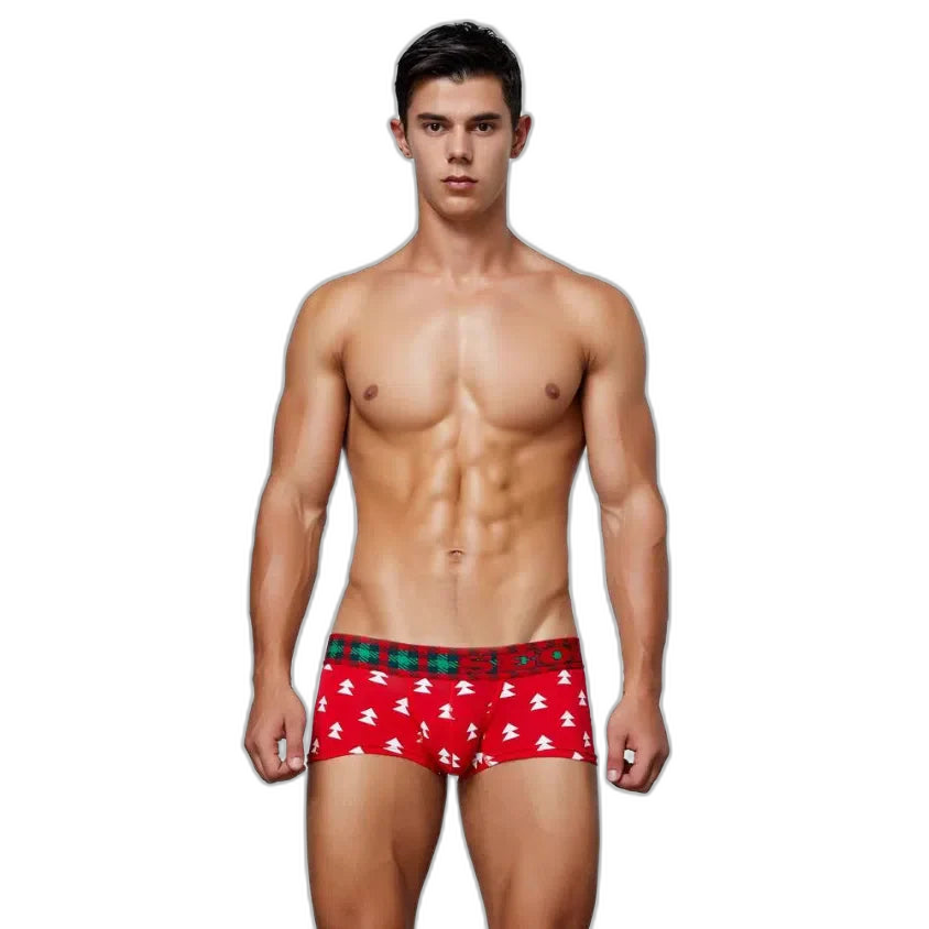 Festive Christmas Tartan Boxer Briefs
