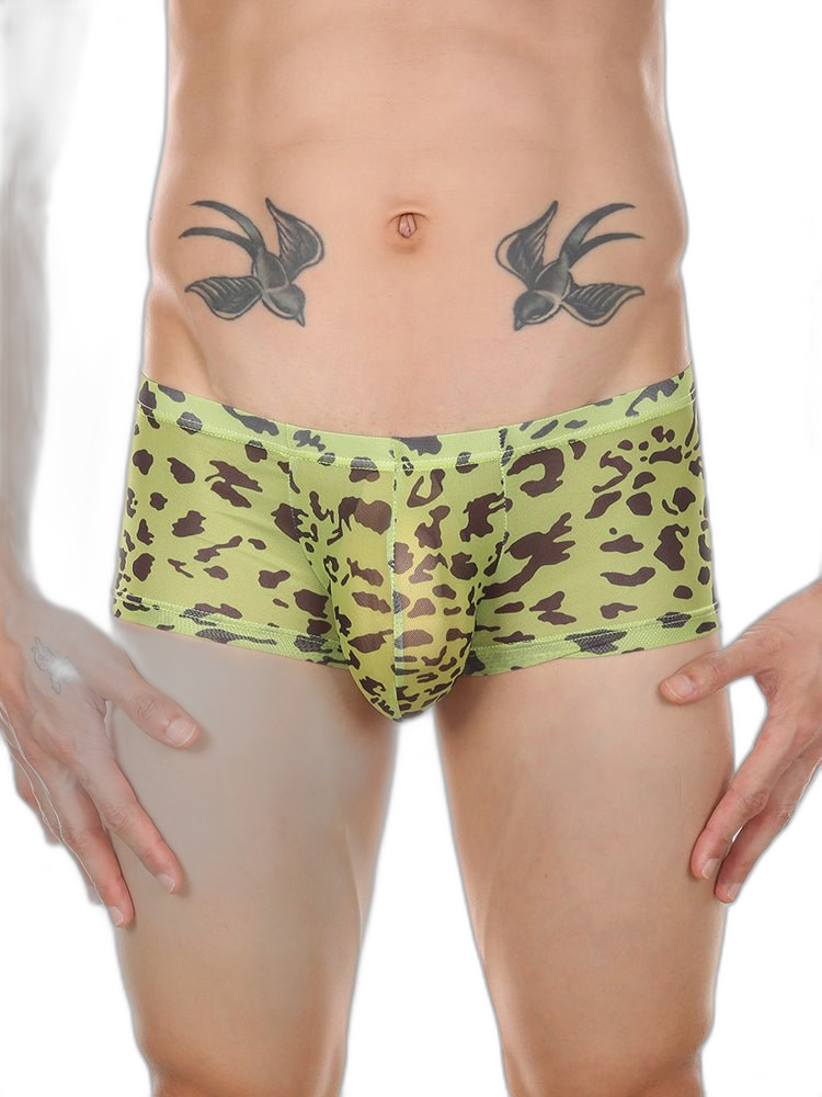 4 Pack Leopard Print See-through Mesh Trunks