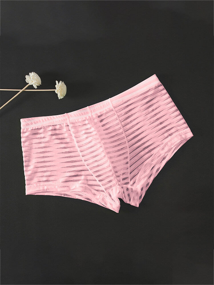 Men's Sexy Mesh Transparent Striped Boxer Briefs