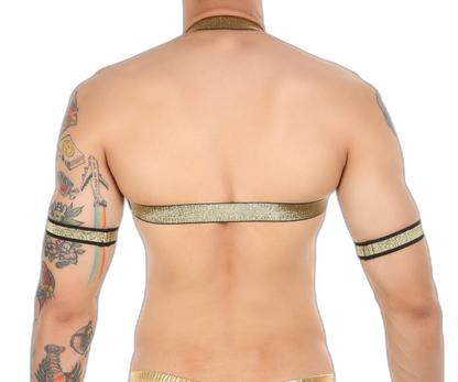 Gold Glitter Harness