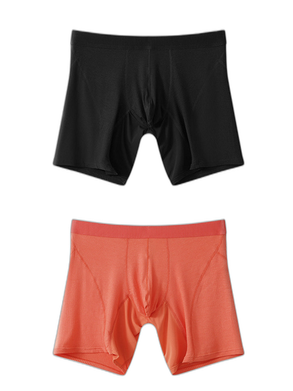 2 Pack Men’s Casual Ice Silk Midway Briefs