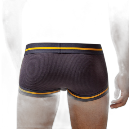 Tauwell Retro Era Boxer Briefs