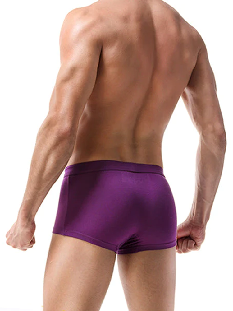 Men's Double Pouch Underwear Separate Pouch Modal Trunks