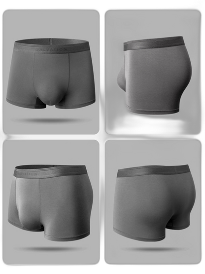 2 Pack Men's Anti-Bacterial Modal Trunks