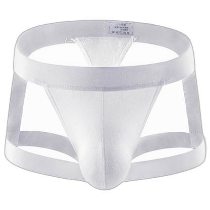 BoldGarter Men's Lingerie Briefs