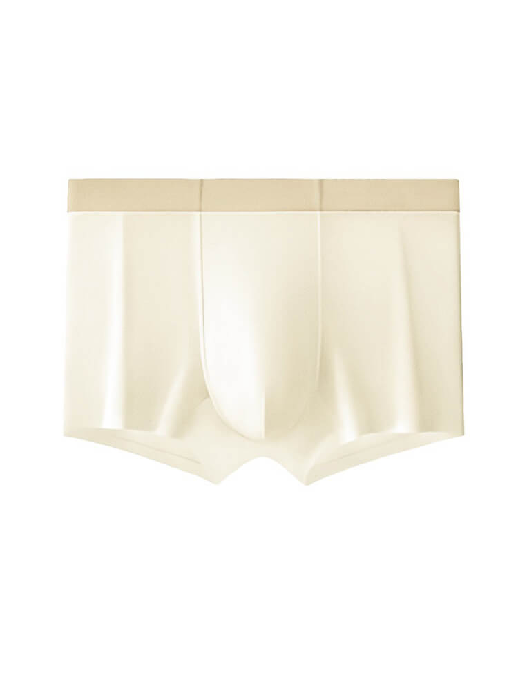 Men's Seamless Mulberry Silk Antibacterial Boxer Briefs