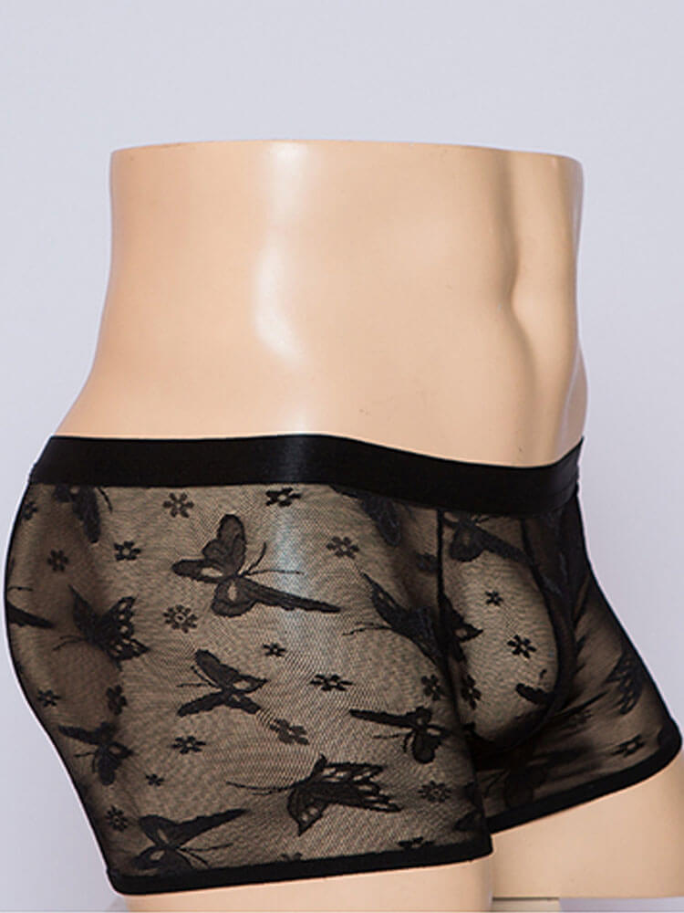 Men's Sexy Sheer Mesh Form-Fitting Boxer Briefs