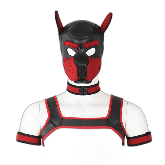 Beta Puppy Play Set - Pup Hood & BDSM Collar & Chest Harness