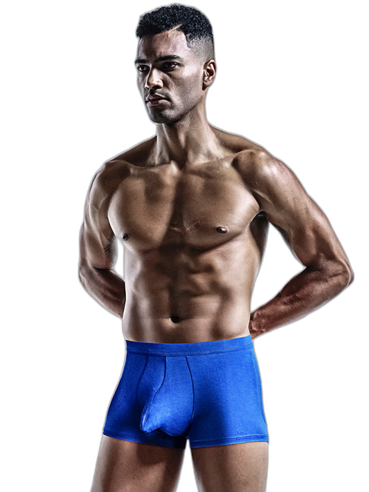 4 Pack Modal Separate Pouch Men's Underwear