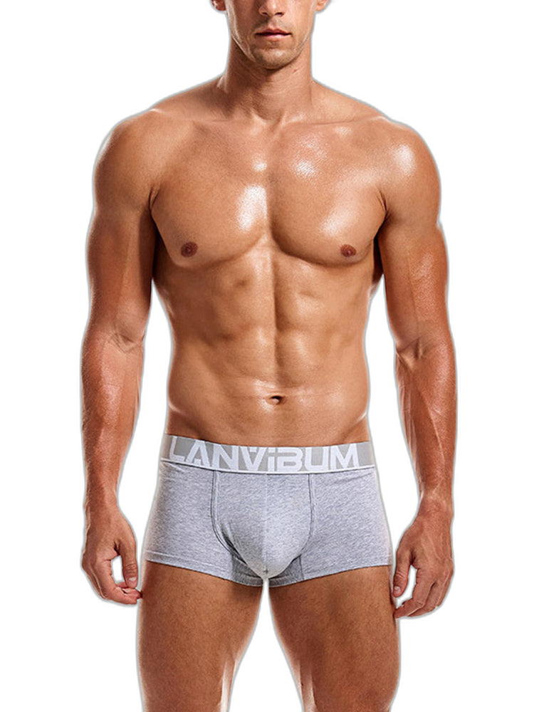 2 Pack Men's Breathable Big Pouch Trunks