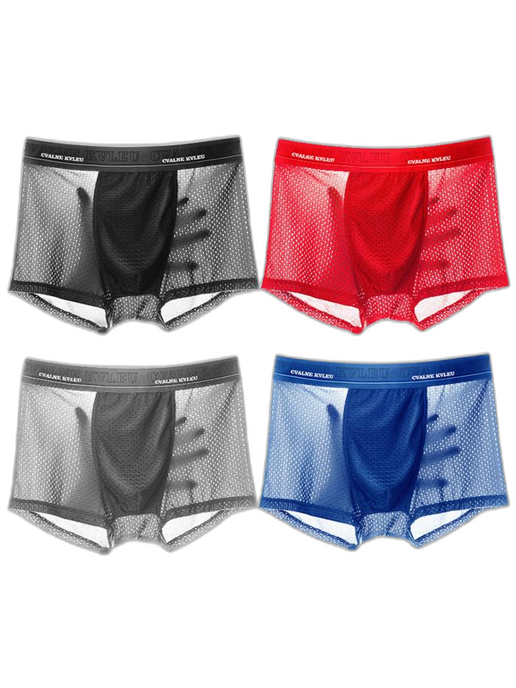 4 Pack Mesh Breathable Ice Silk Underwear Boxer