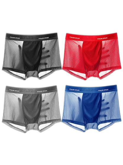 4 Pack Mesh Breathable Ice Silk Underwear Boxer