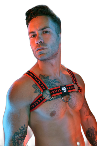 Breedwell Daddys Favourite Bulldog Harness Red