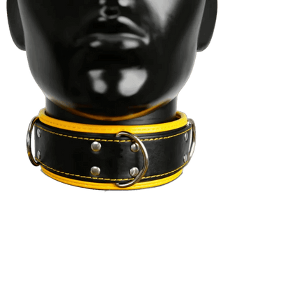 Harness, Cuff, Collar Bundle Yellow