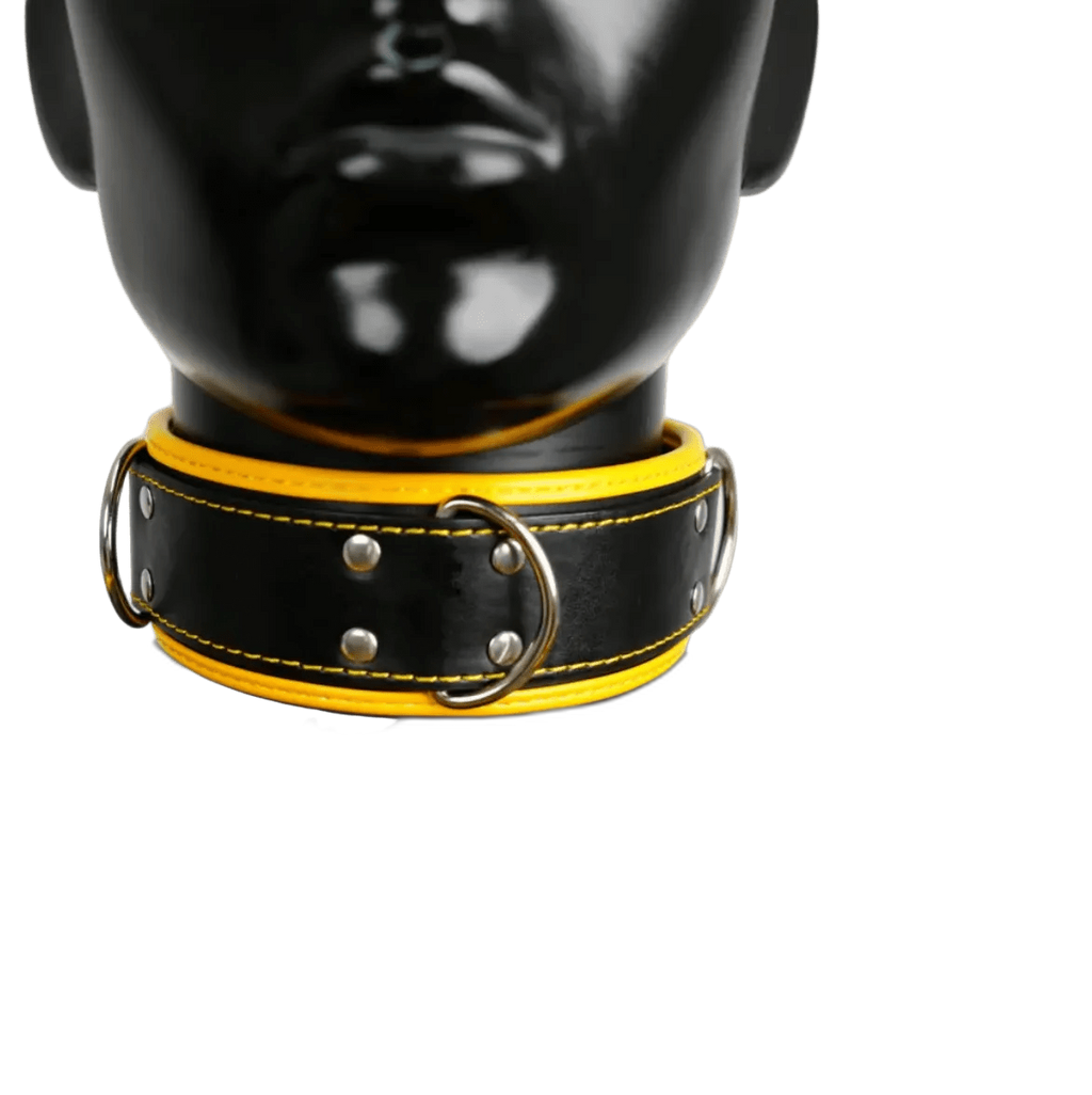 Harness, Cuff, Collar Bundle Yellow
