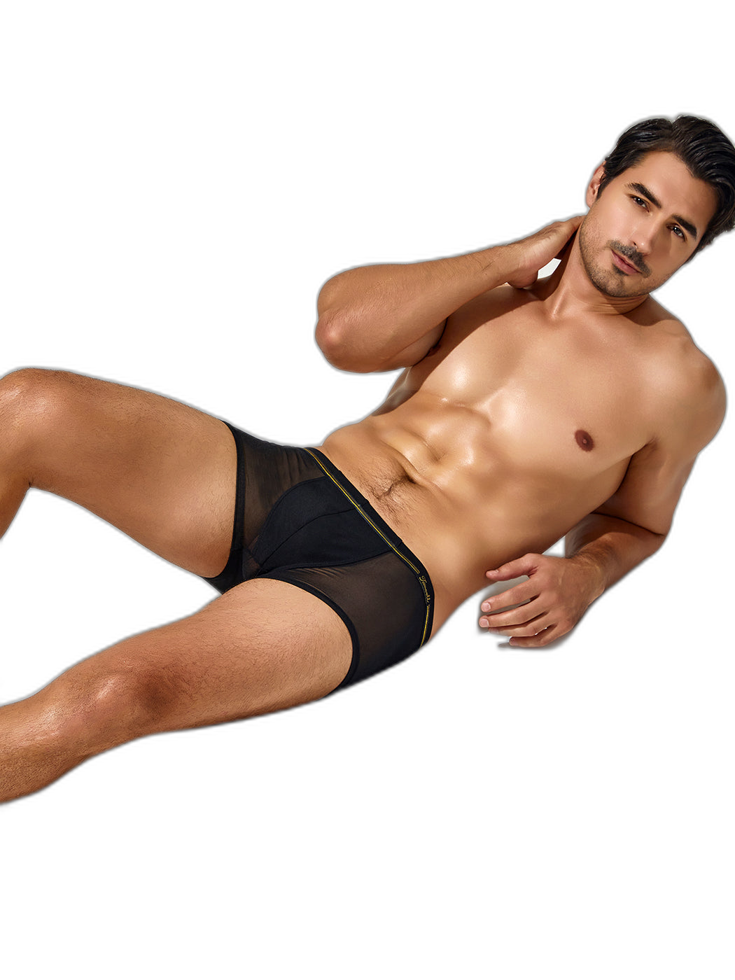 Men's Sexy Low-rise Mesh Trunks