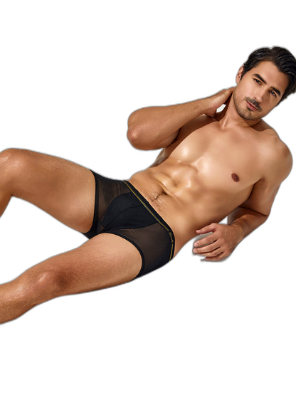 Men's Sexy Low-rise Mesh Trunks