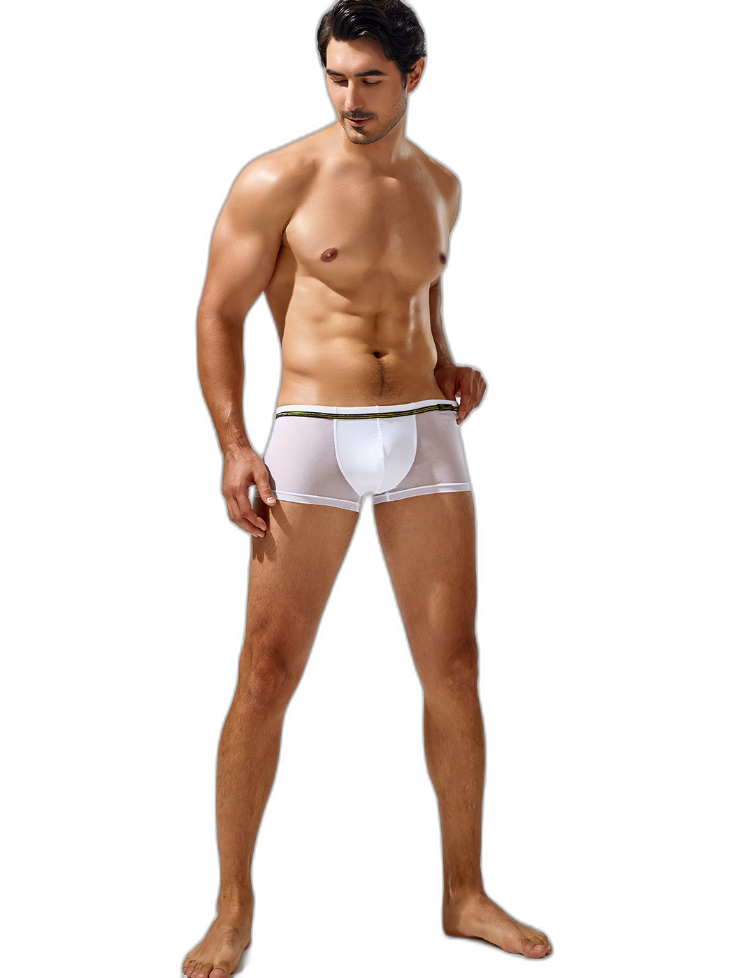 Men's Sexy Low-rise Mesh Trunks
