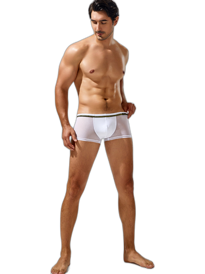 Men's Sexy Low-rise Mesh Trunks