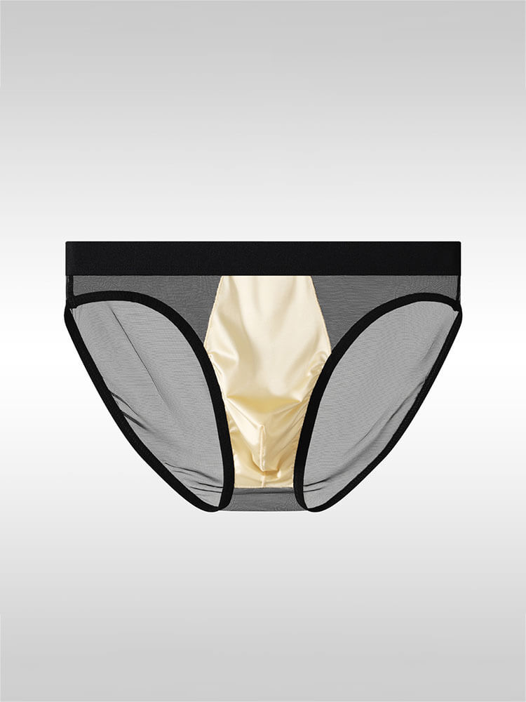 Men's Sexy Sheer Mesh Satin Pouch Briefs