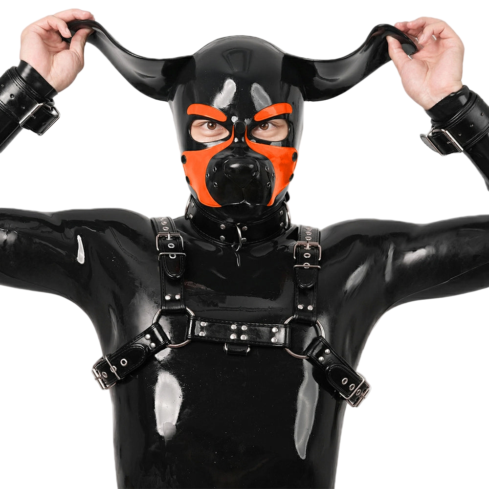 Furrjoi Silicone Beagle Hood Orange