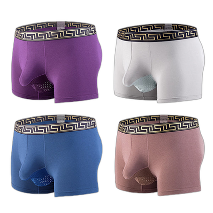 4 Pack Separate Ball Pouch Breathable Trunks