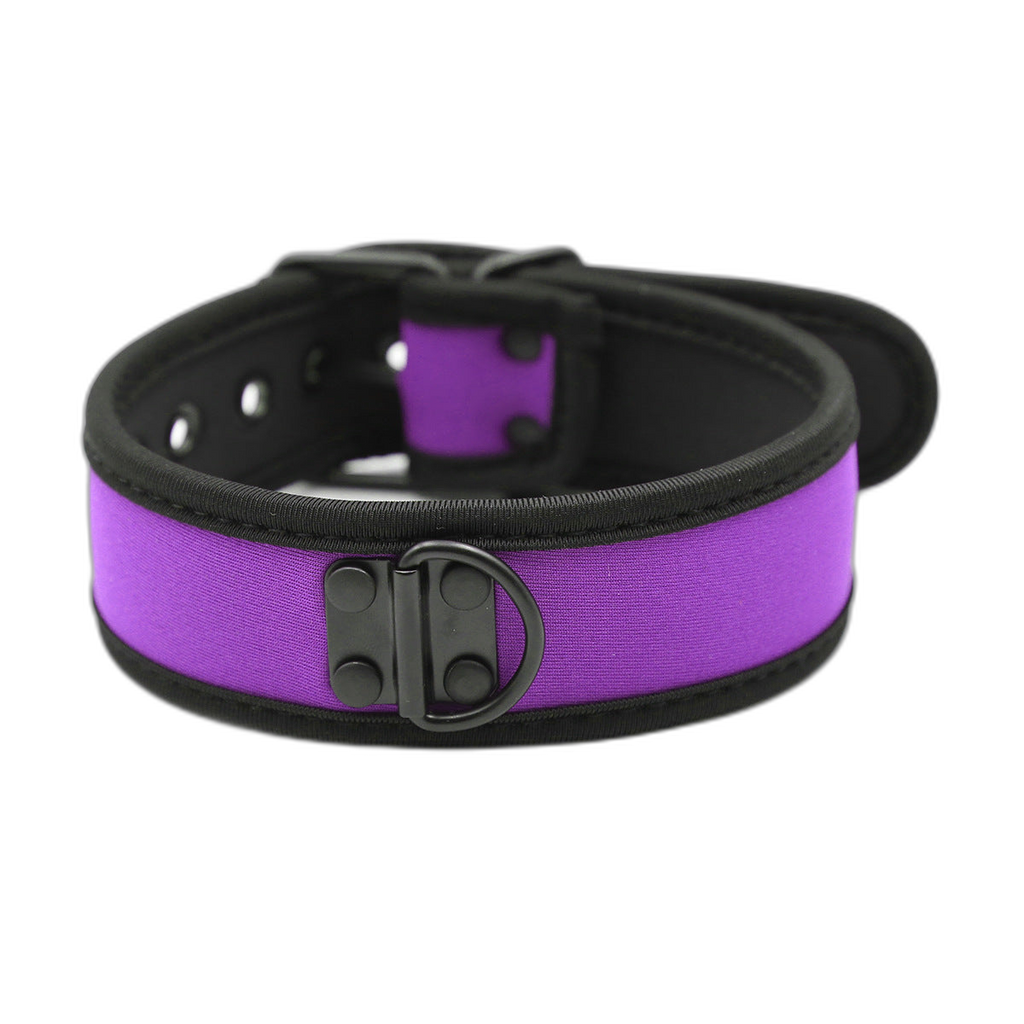Coloured Adjustable Neck Collar