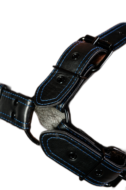 ruff GEAR RAW  Leather Bulldog Harness Black Royal