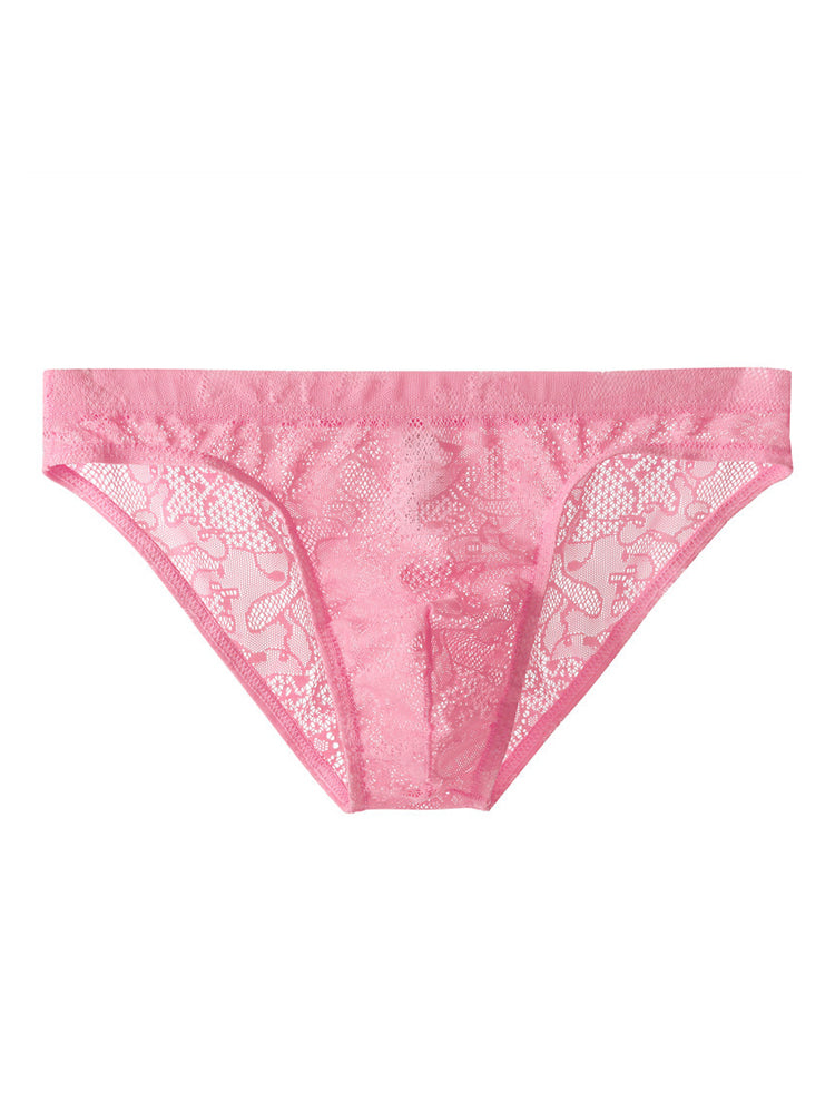 Lace Sheer Briefs