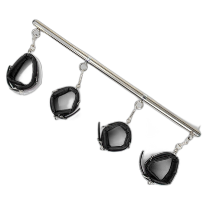 Full Access Bar Restraint System