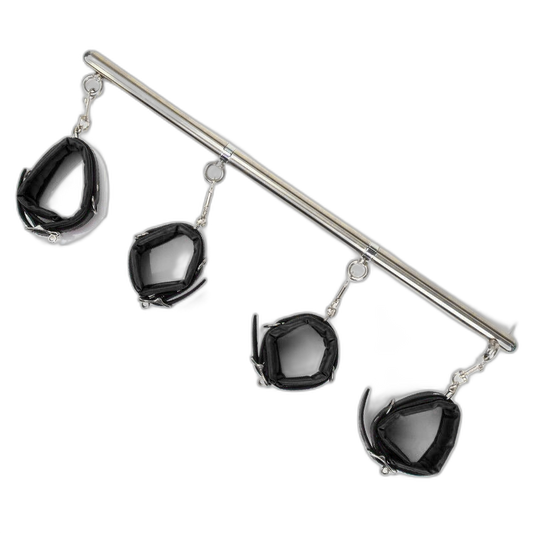Full Access Bar Restraint System