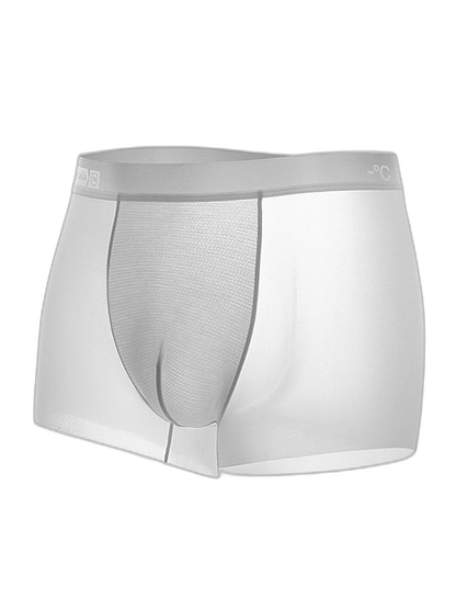 4 Pack Men's Breathable Ice Silk Antibacterial Sports Trunks