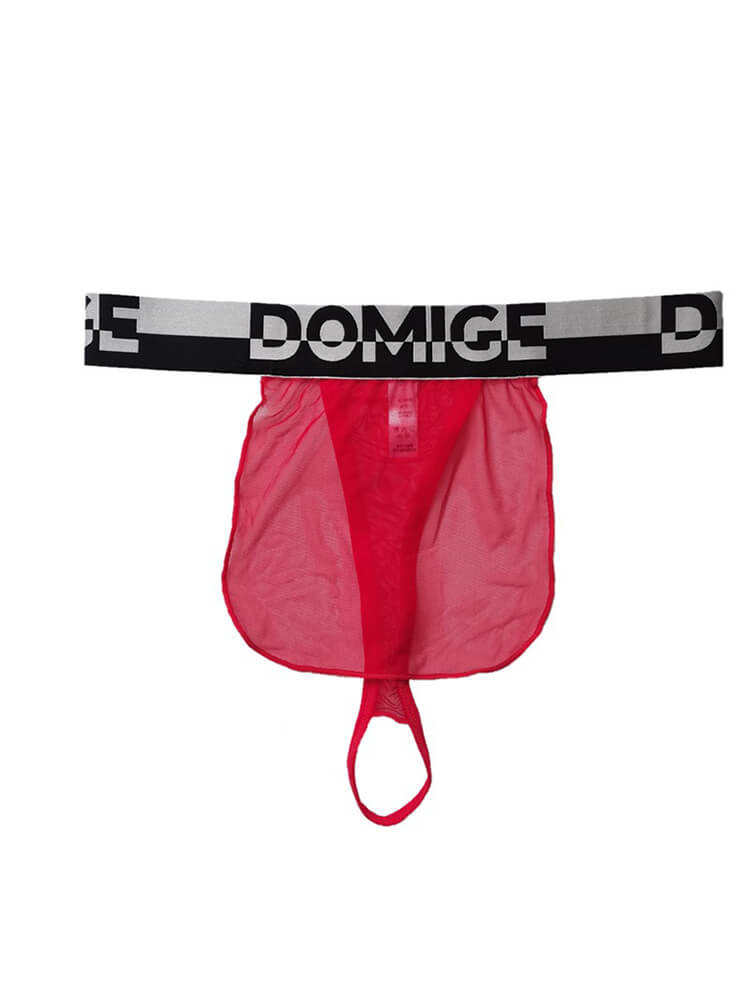 Men's Letters Belt Sexy Mesh Thong