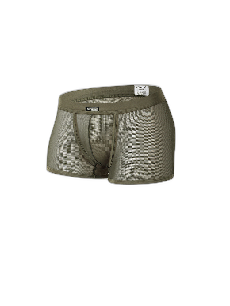 Men's Sexy Transparent Mesh Trunks