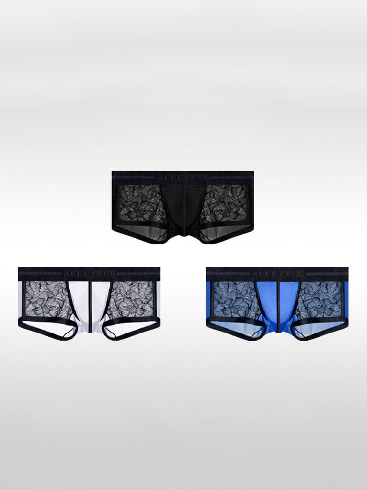 Men's Ice Silk Lace Sexy Sheer Ultra-Thin Trunks