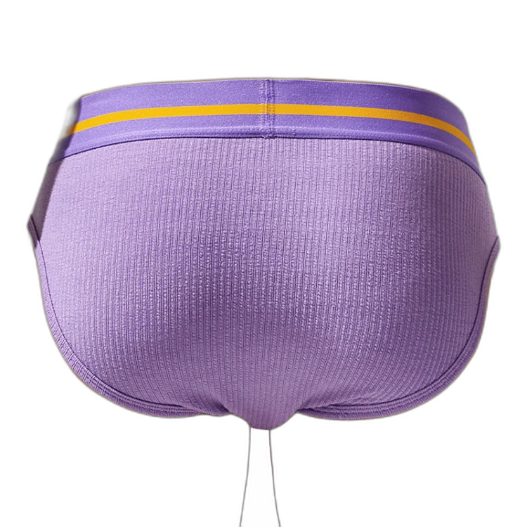 Tauwell Retro Era Briefs