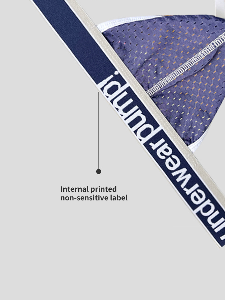 2 Pack Men's Sexy Elastic Waist Micro Mesh Cup Thong