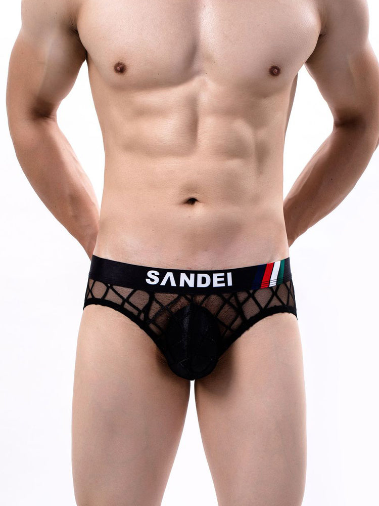 3 Pack Men's Low-Rise Lace Sexy Mesh Briefs And Thongs