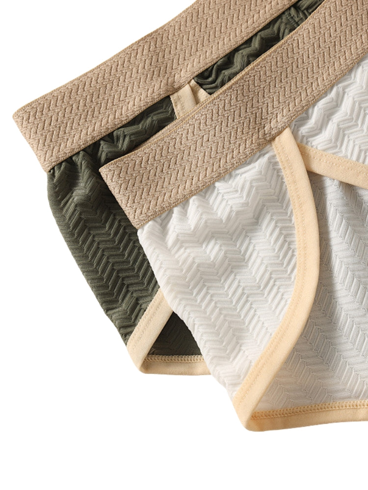 2 Pack Men's Breathable High-Stretch Seamless Comfort Odor-Control Briefs