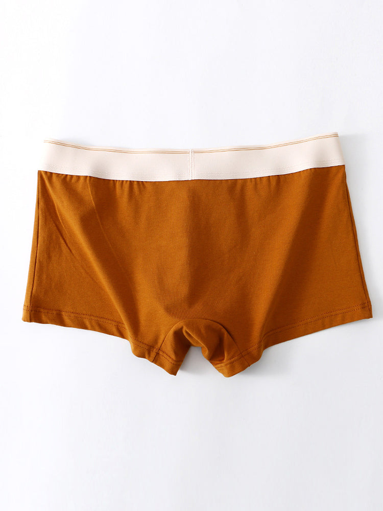 3 Pack Men's Elephant Trunk Separate Cotton Sexy Mid-Rise Solid Color Trunks