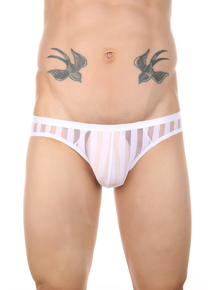 3 Pack Men's Sexy Striped Sheer Mesh Bikini