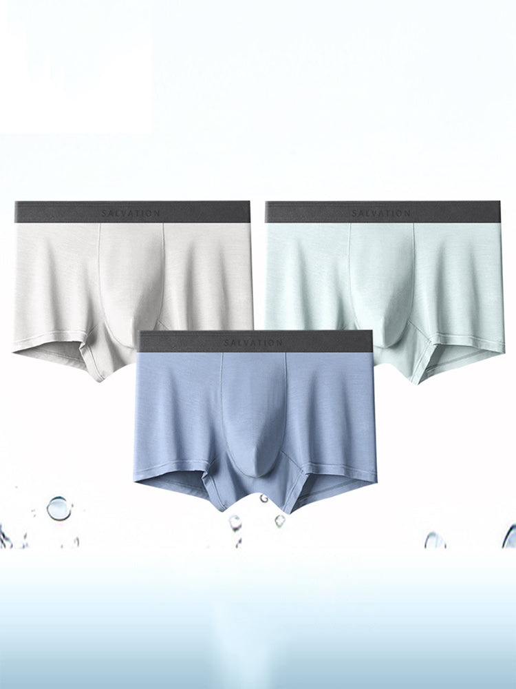 2 Pack Men's Anti-Bacterial Modal Trunks