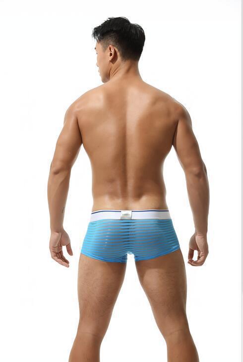 Men's Sexy Transparent Striped Trunks