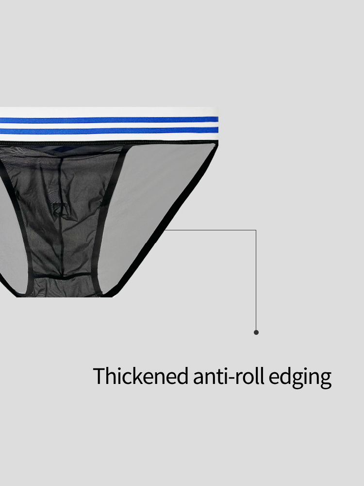 2-pack Men's Sexy Semi-transparent Mesh Briefs