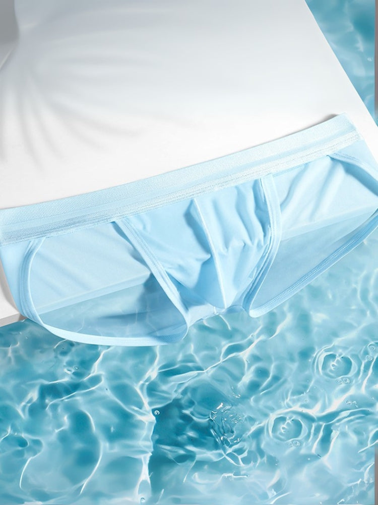2 Pack Men's Ultra-Soft Ice Silk Quick-Dry Smooth Cooling Briefs