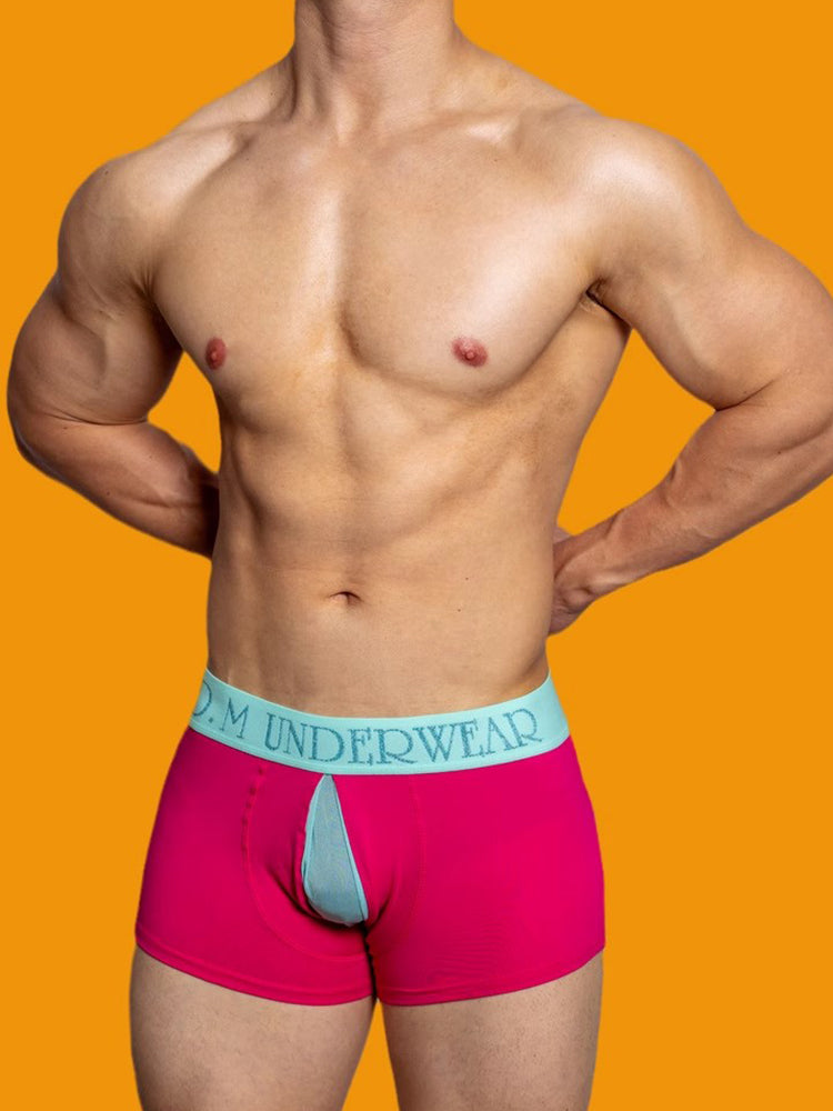 2 Pack Men's Mesh Transparent Open-Cut Cotton Mesh Trunks