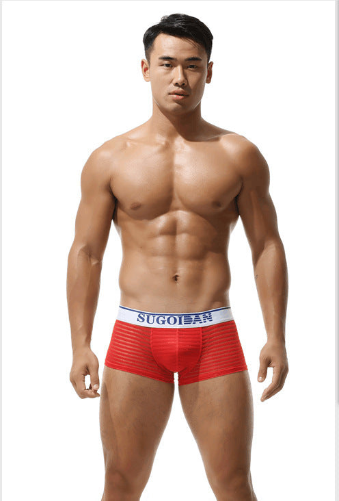 Men's Sexy Transparent Striped Trunks