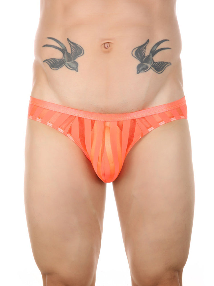 3 Pack Men's Sexy Striped Sheer Mesh Bikini